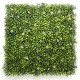Пано 50х50см изкуствена зелена декорация Boxwood with Jasmine Пано 50х50см изкуствена зелена декорация Boxwood with Jasmine