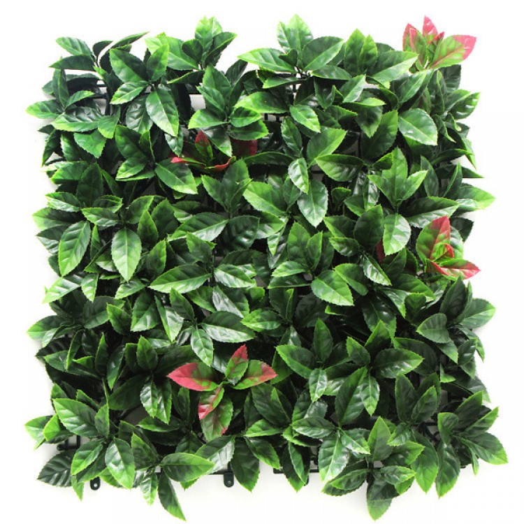 Пано 50х50см изкуствена зелена декорация Photinia Пано 50х50см изкуствена зелена декорация Photinia